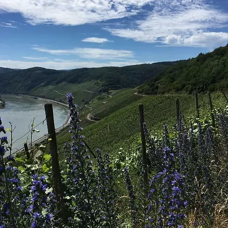 דירה Oberwerth קובלנץ