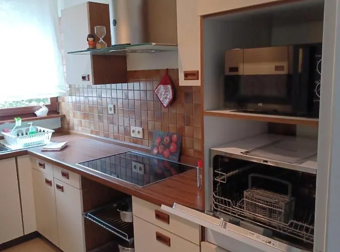 Appartement Oberwerth Coblence