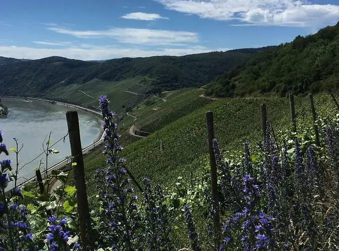 Appartement Oberwerth Coblence